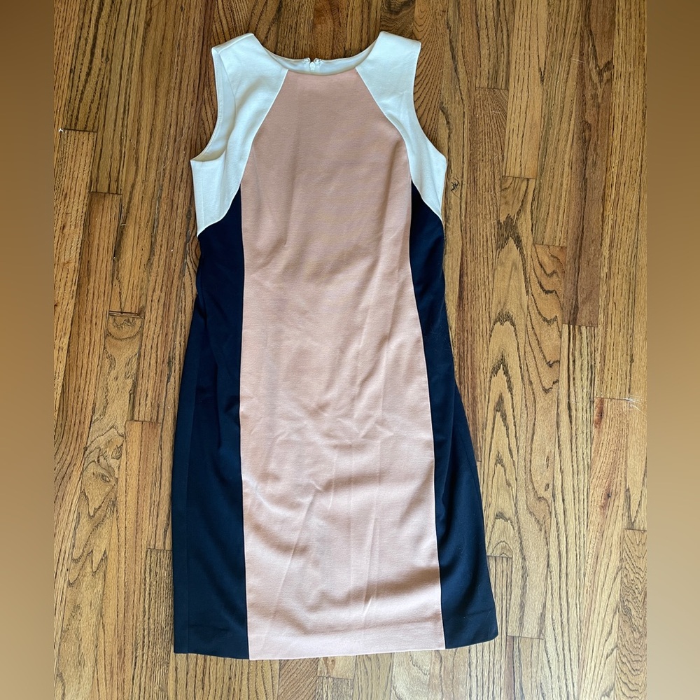 Ann Taylor Petite Ivory/ Navy/ Pink Dress